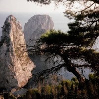 Marina Piccola, Capri Italy